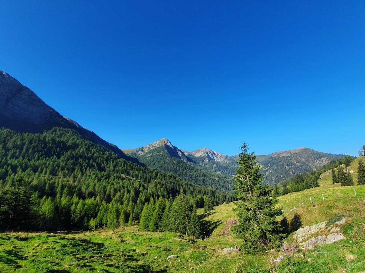 Haus Kraller-Urlaub Mit Seeblick มิลชตัทท์ ภายนอก รูปภาพ